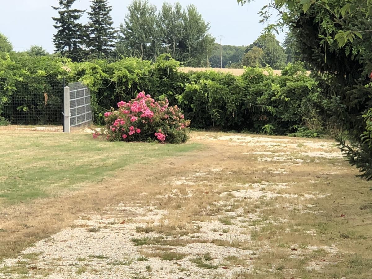 Hotel La Cle Des Champs Le Teilleul Zewnętrze zdjęcie